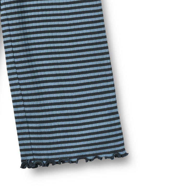 Ela buxur, Bright Blue