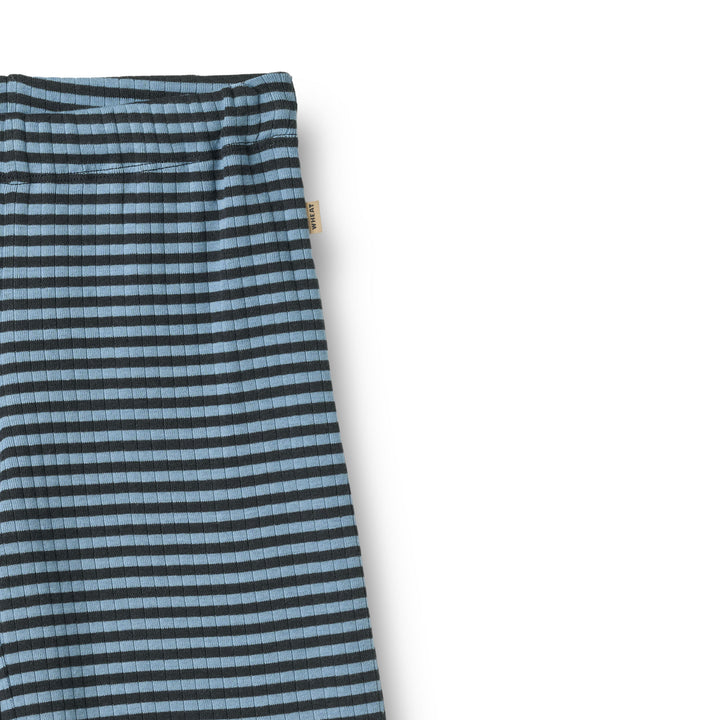 Ela buxur, Bright Blue