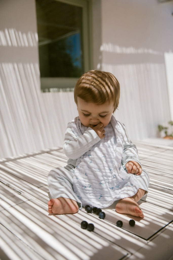 Smekkur, 2 stk, Dolphin