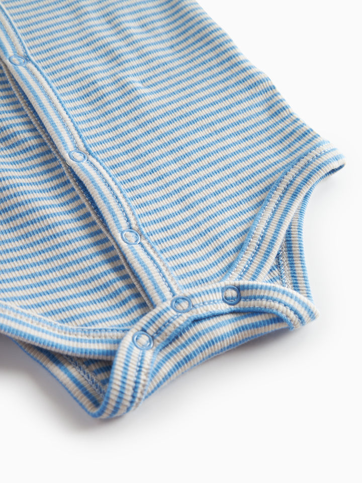 Bruno body, Blue Stripe