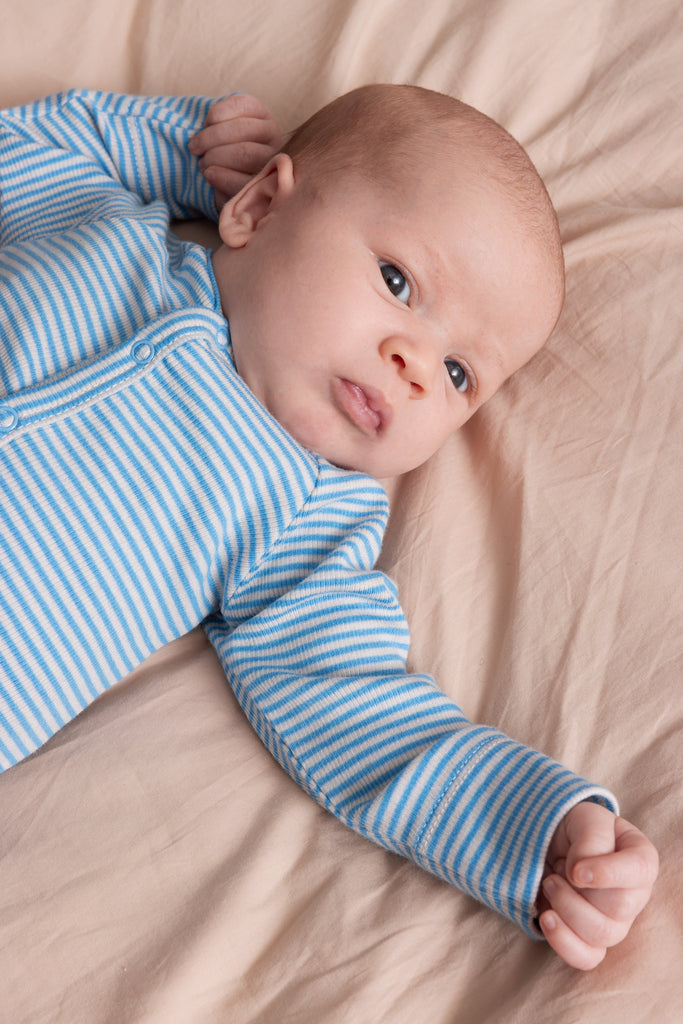 Bruno body, Blue Stripe