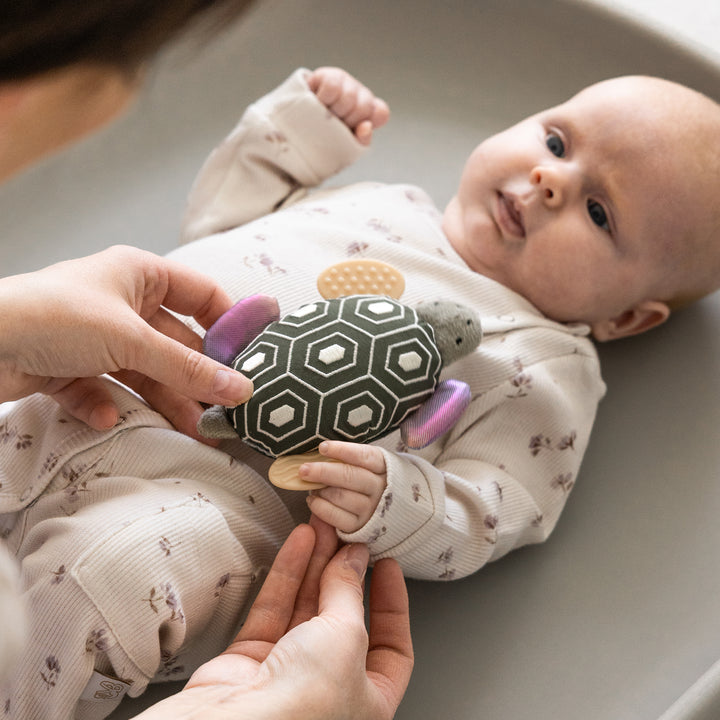 Turbo the Turtle hristileikfang