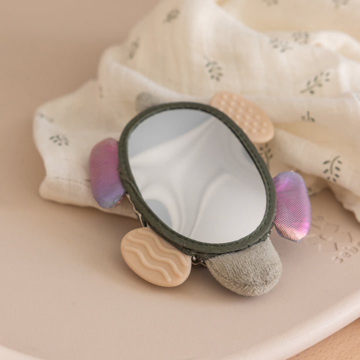 Turbo the Turtle hristileikfang