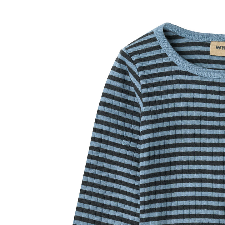 Berti body, Bright Blue