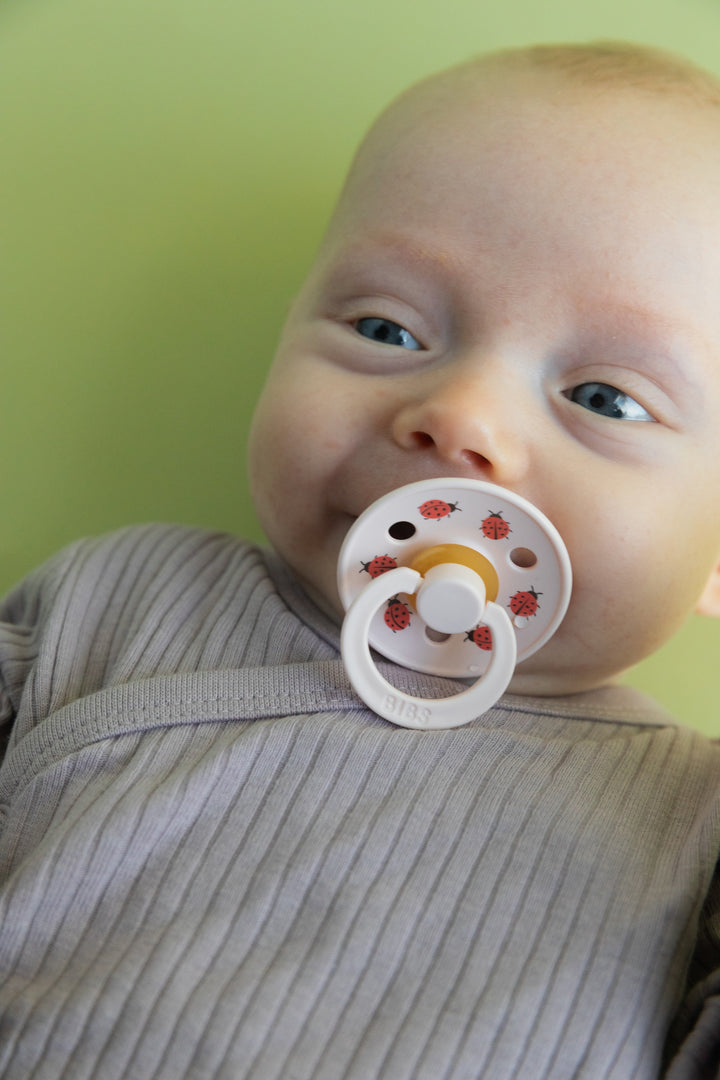 Urban Garden, 2 stk, Ladybug Violet Sky