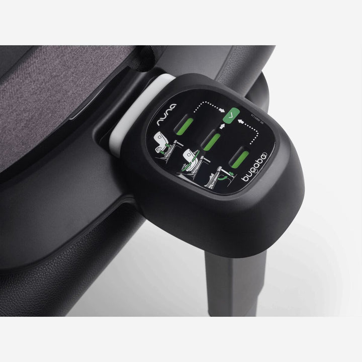 360 undirstaða fyrir Turtle og Owl