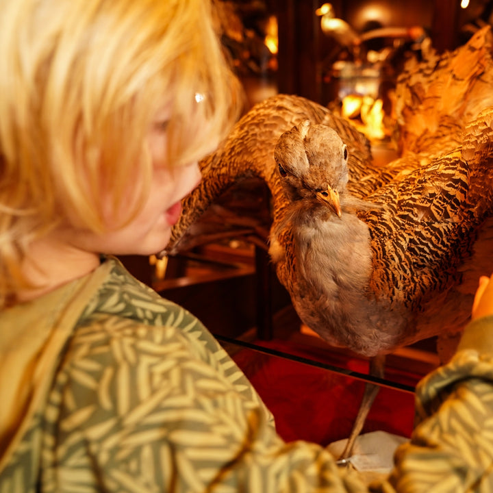 Hettupeysa, Army Green