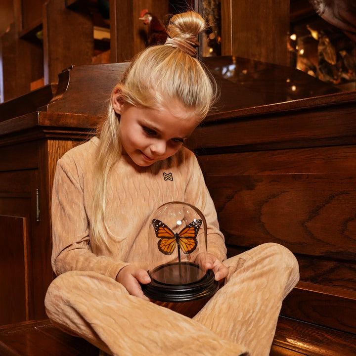 Bolur, Caramel Brown