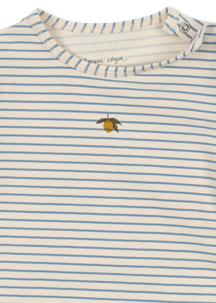 Basic body, Bluie Stripe