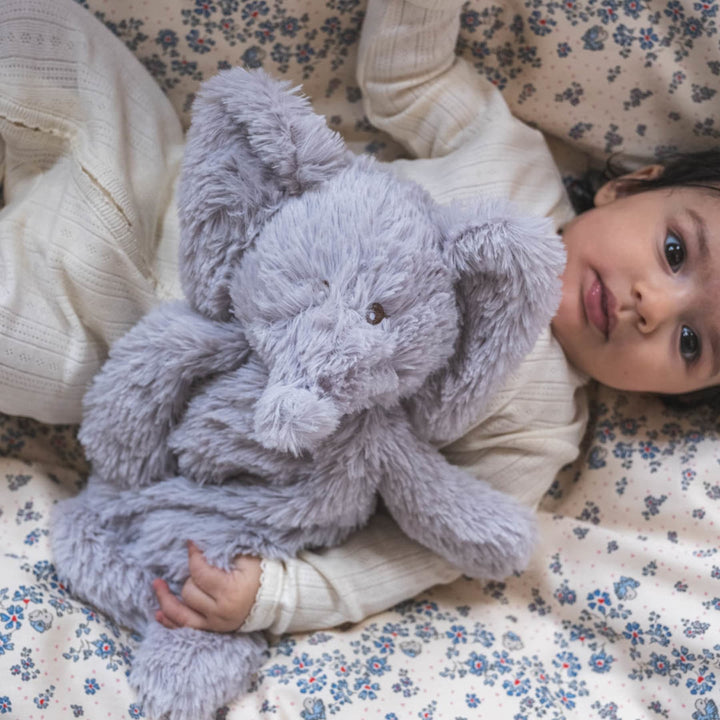 Houston þyngdarbangsi