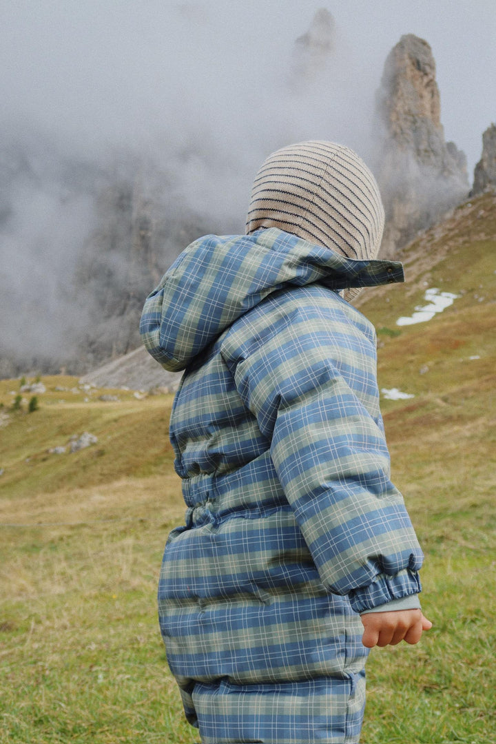 Louli brølapa, Bluie Stripe