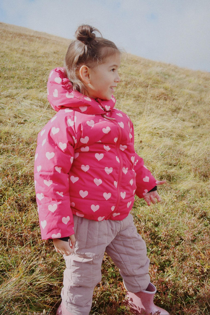 Nuka vetrarjakki, Amour Jazzy