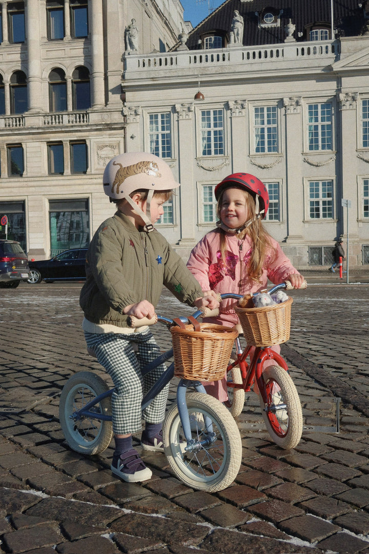 Aiko rennisúkkla, Bluie Stripe