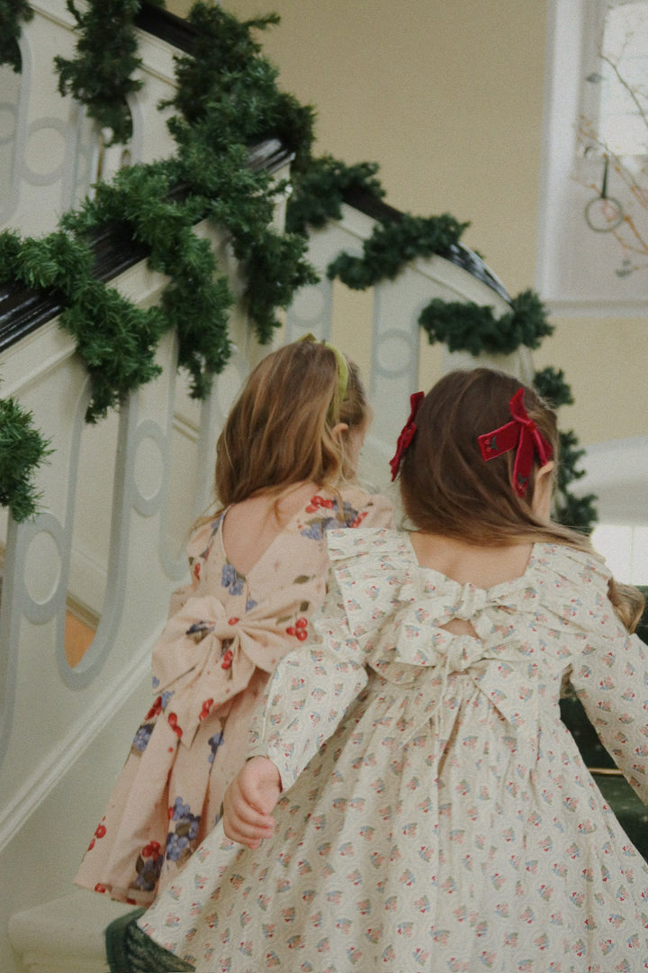 Juliette hárklemmur, 2 stk, Rio Red