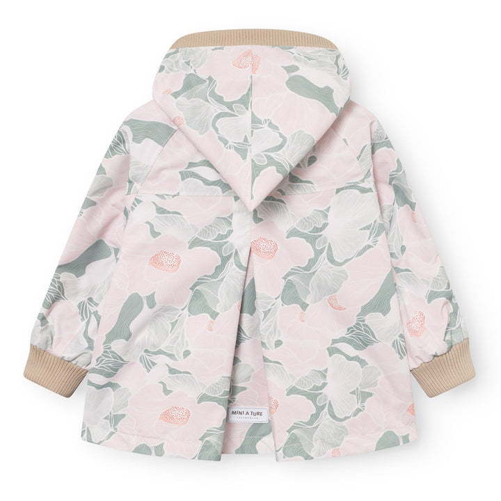 Wiami jakki, Petal Topo