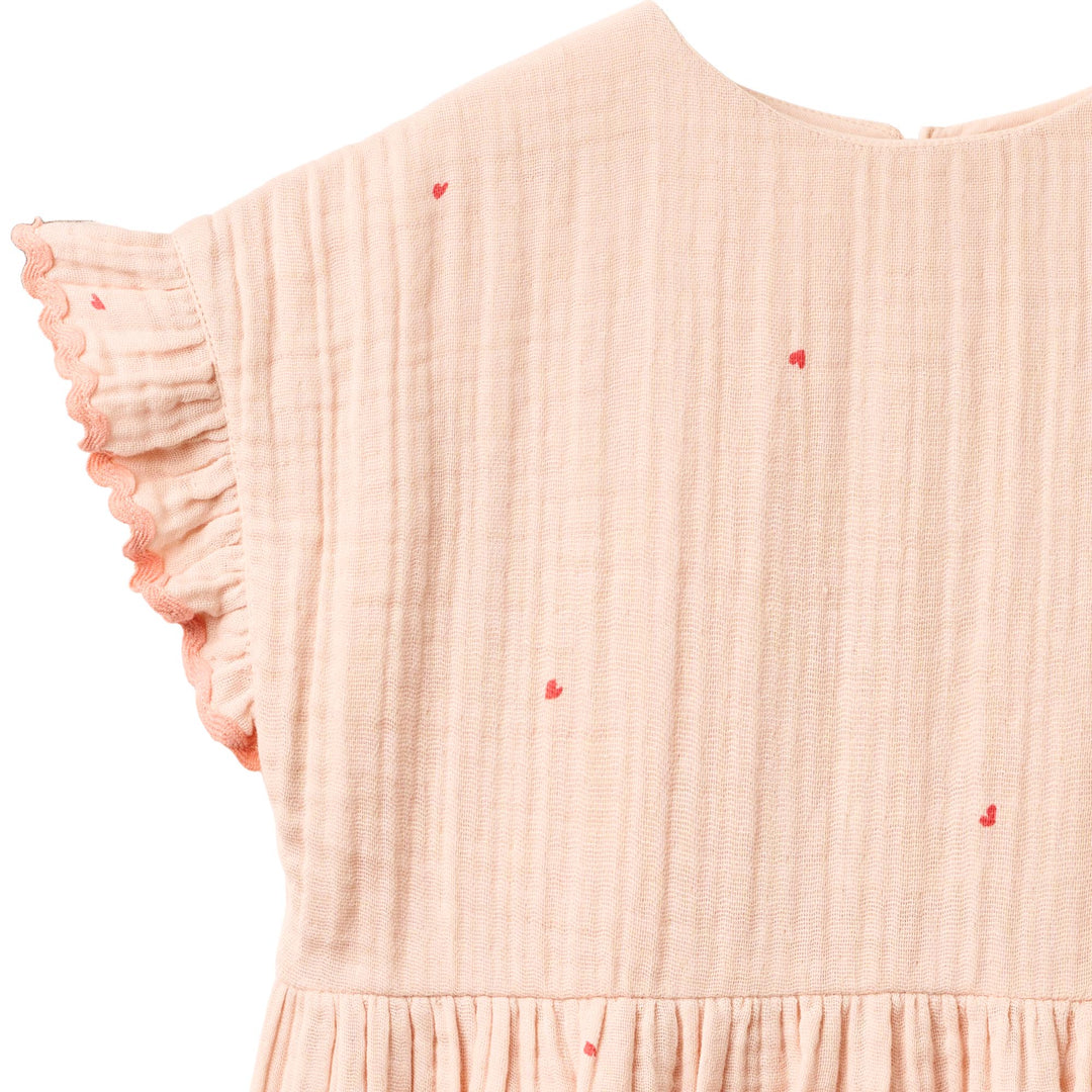 Thit kjóli, Powder Hearts