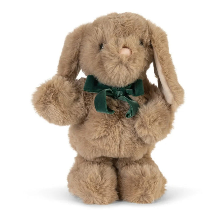 Dancing & Talking Bunny