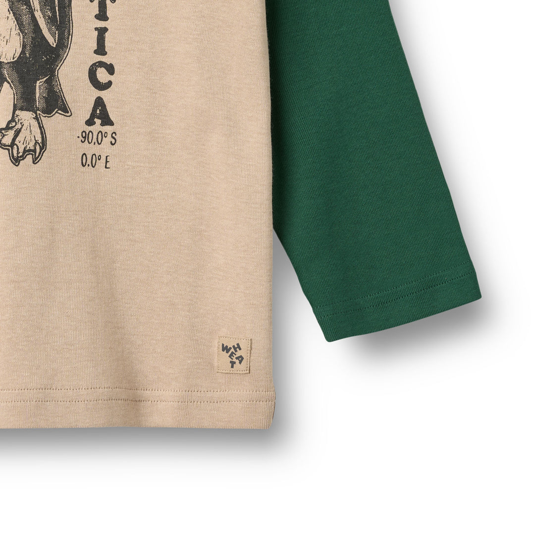 Rolf blusa, Kale