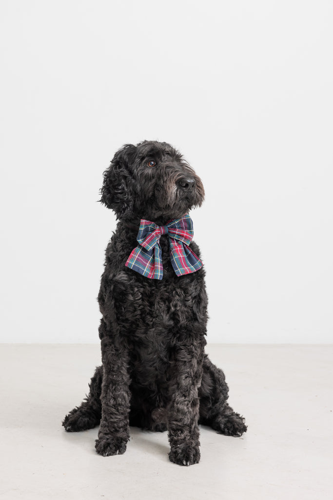 Alina hársloyfa, Pilot Navy Check