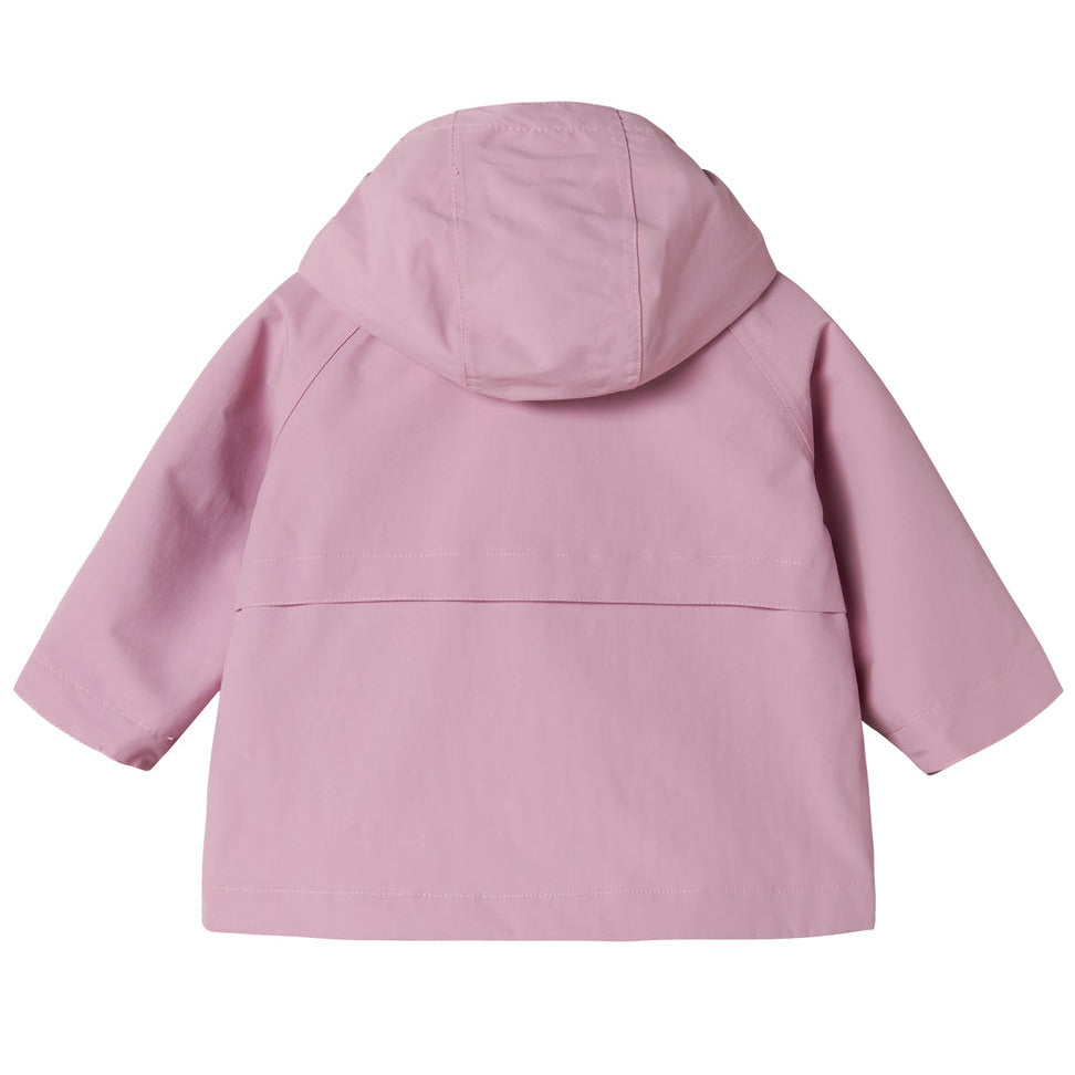 Ovi jakki, Berry Smoothie