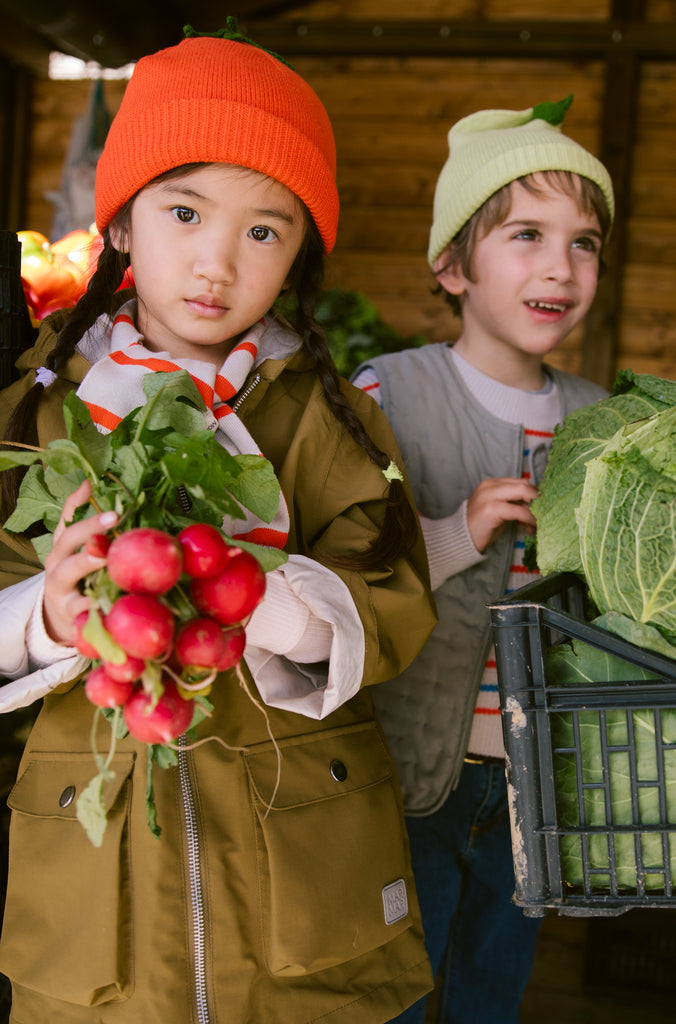 Atlas húgva, Tomato