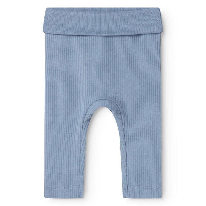 Piva buksur, Blue Iris