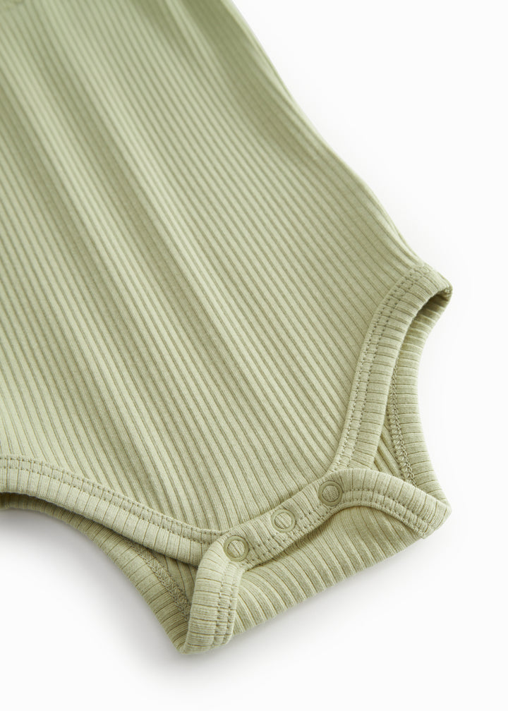 Modal body, Dried Bay