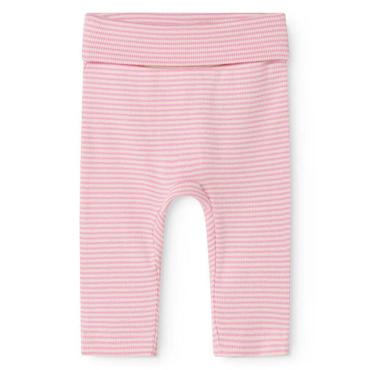 Piva buksur, Pink Stripe