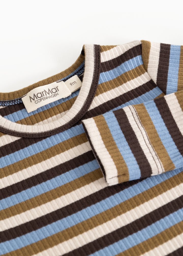 Modal body, Stripes