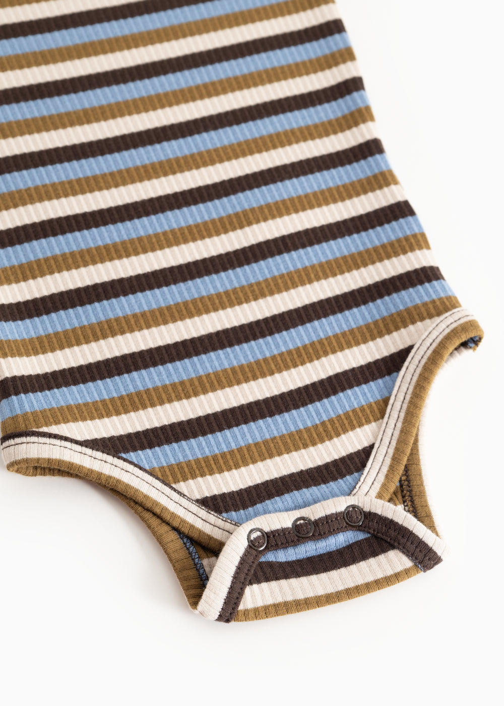Modal body, Stripes