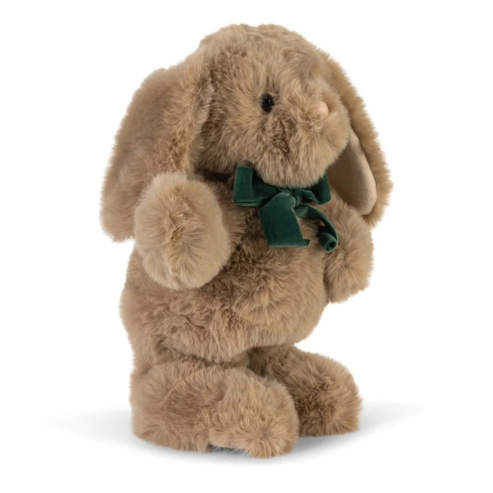 Dancing & Talking Bunny