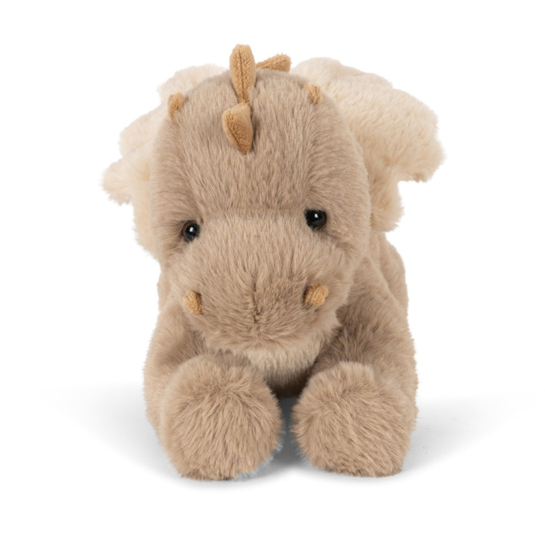 Teddy Dragon