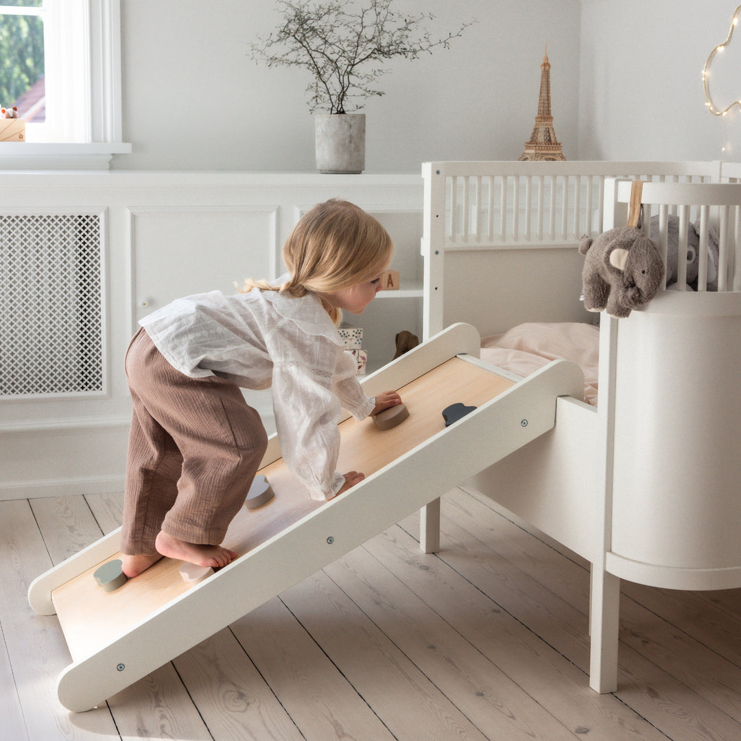 2-í-1 klintri- og skreiðibreyt