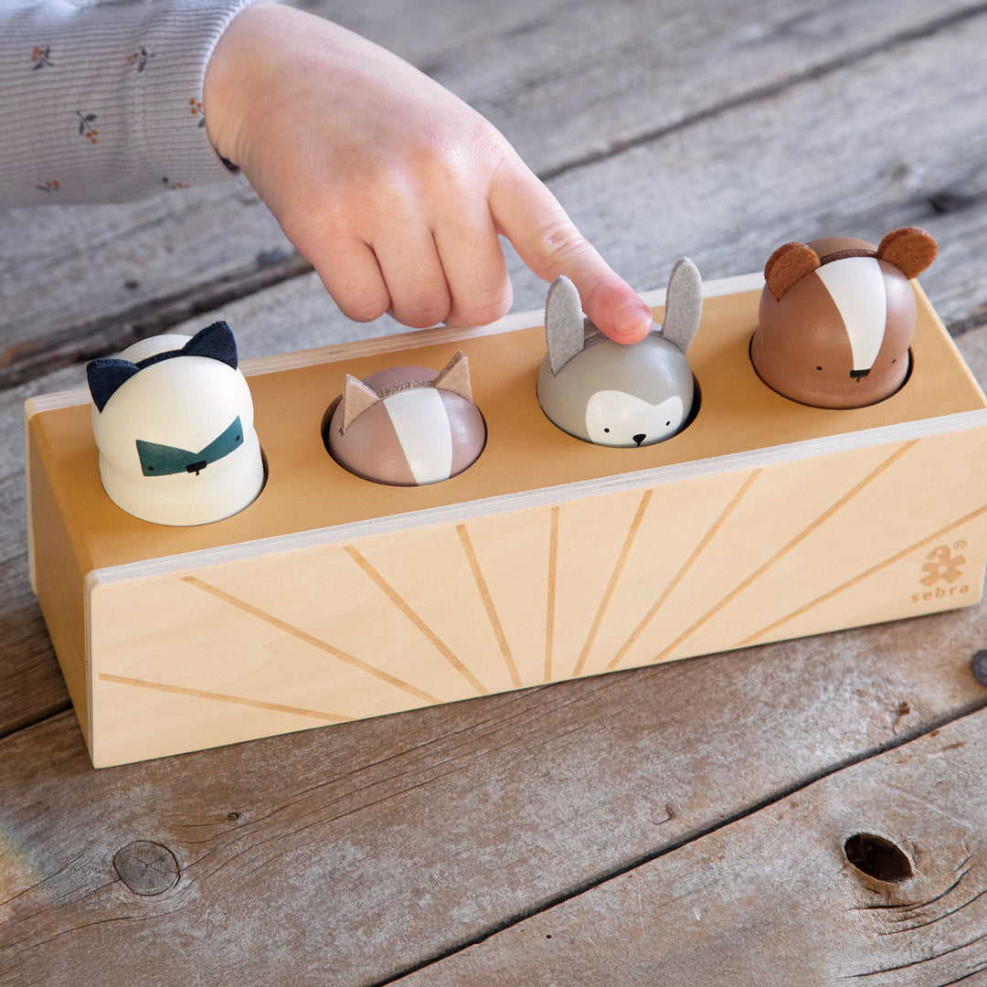 Woodland pop-up leika