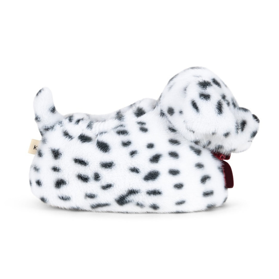 Dalmatian inniskógvar