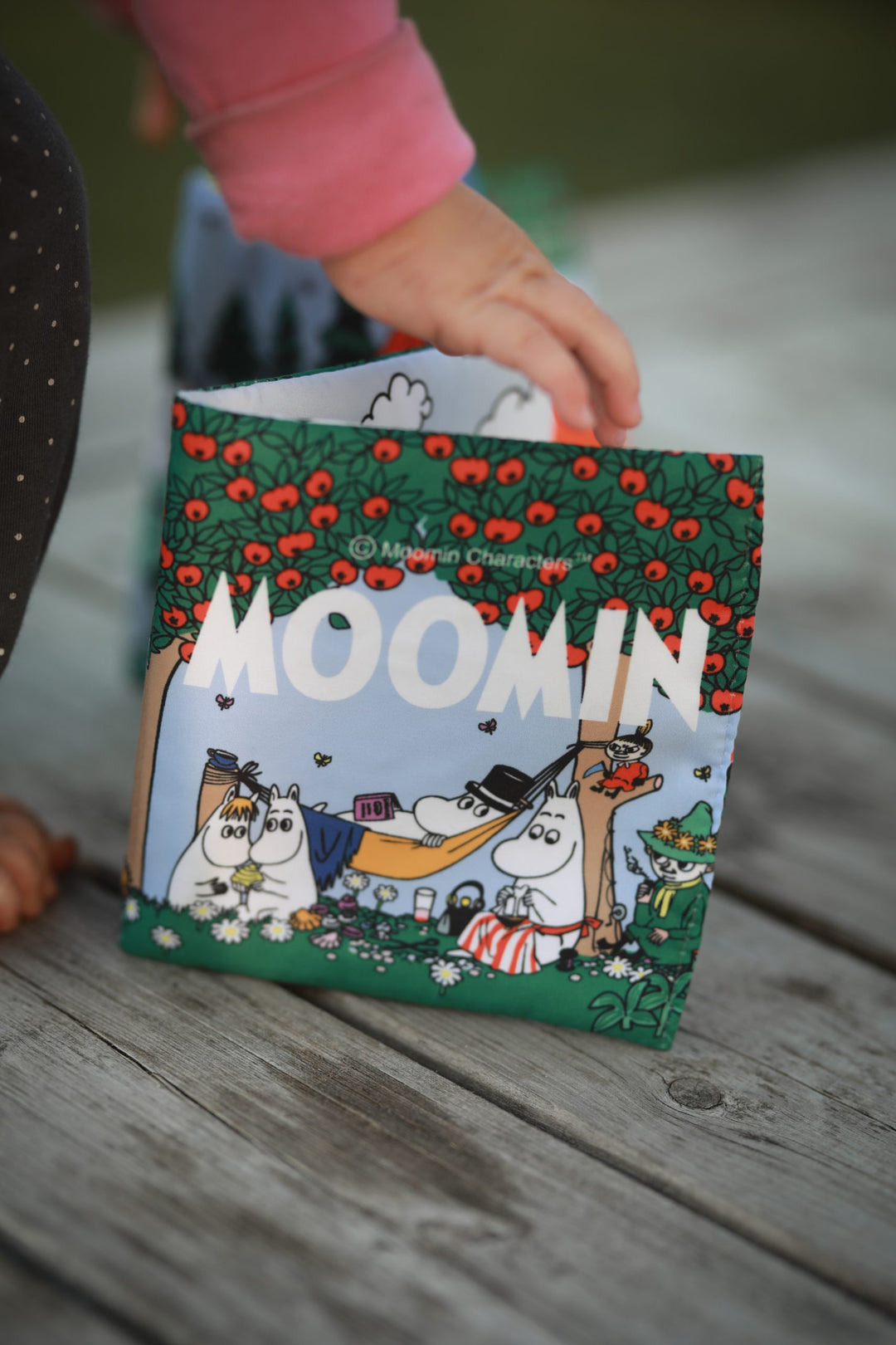 Moomin bók