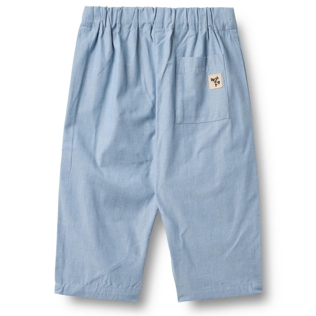 Ashley buksur, Blue Chambrey