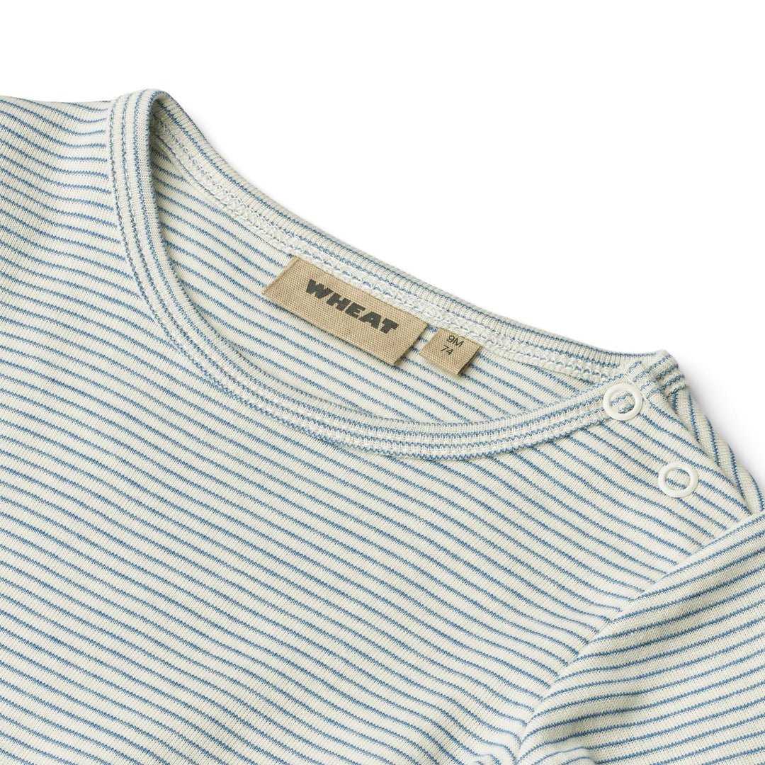 Berti body, Blue Stripe