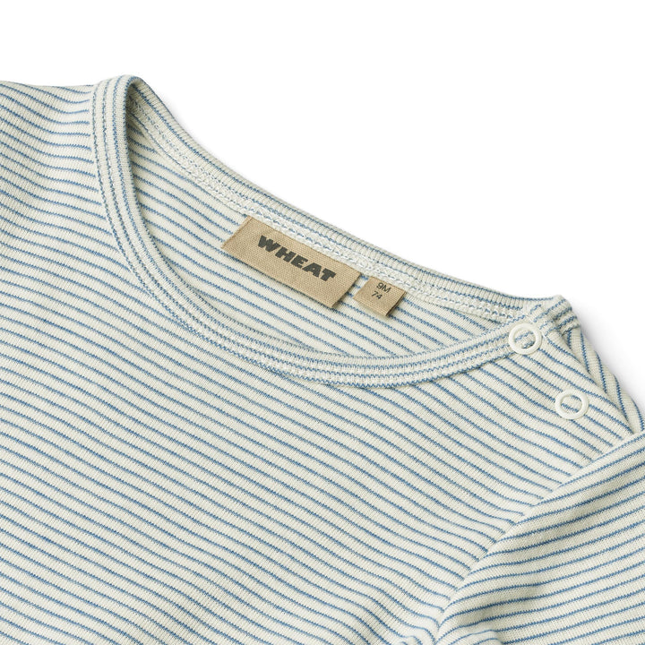 Berti body, Blue Stripe