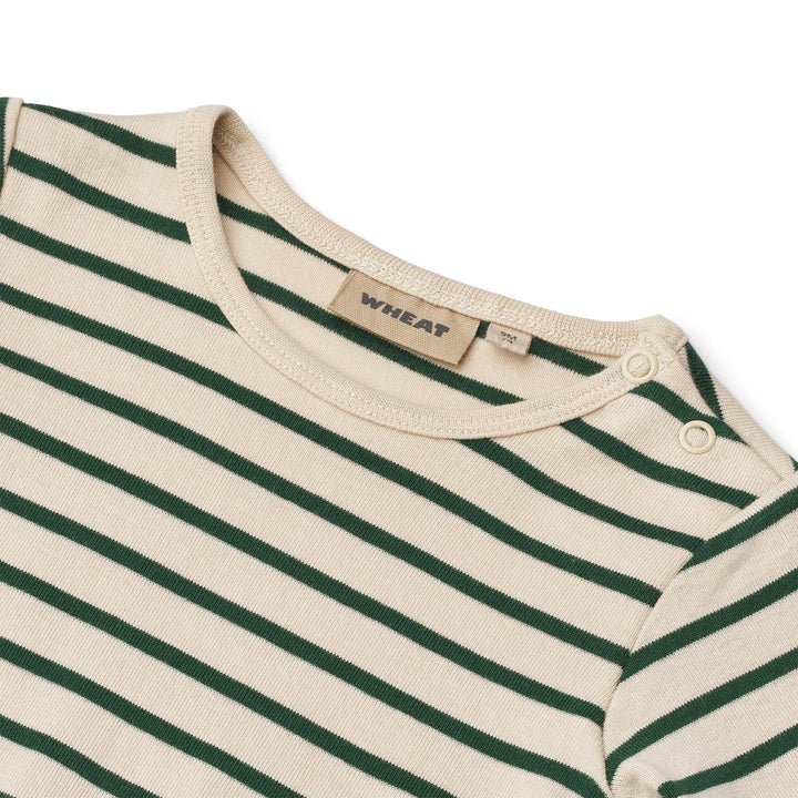 Berti body, Green Stripe