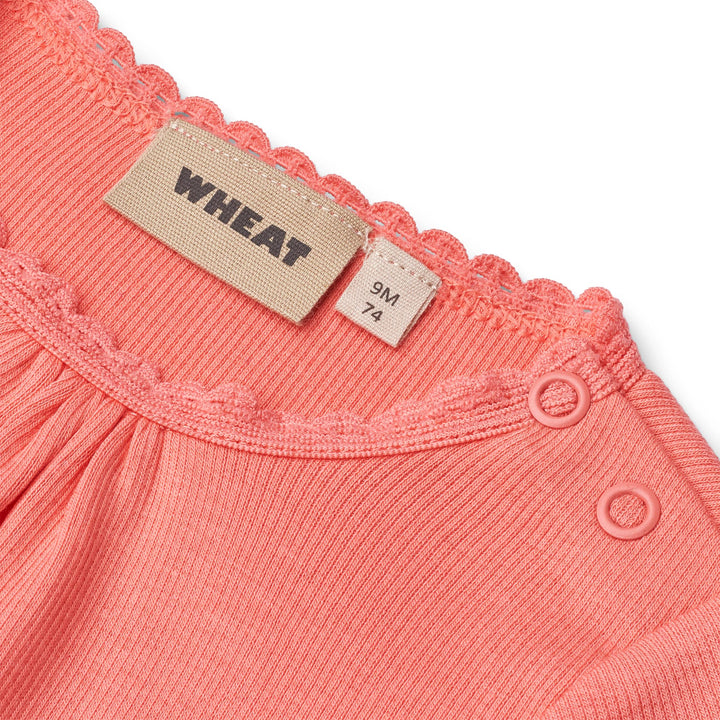 Lotta body, Light Coral