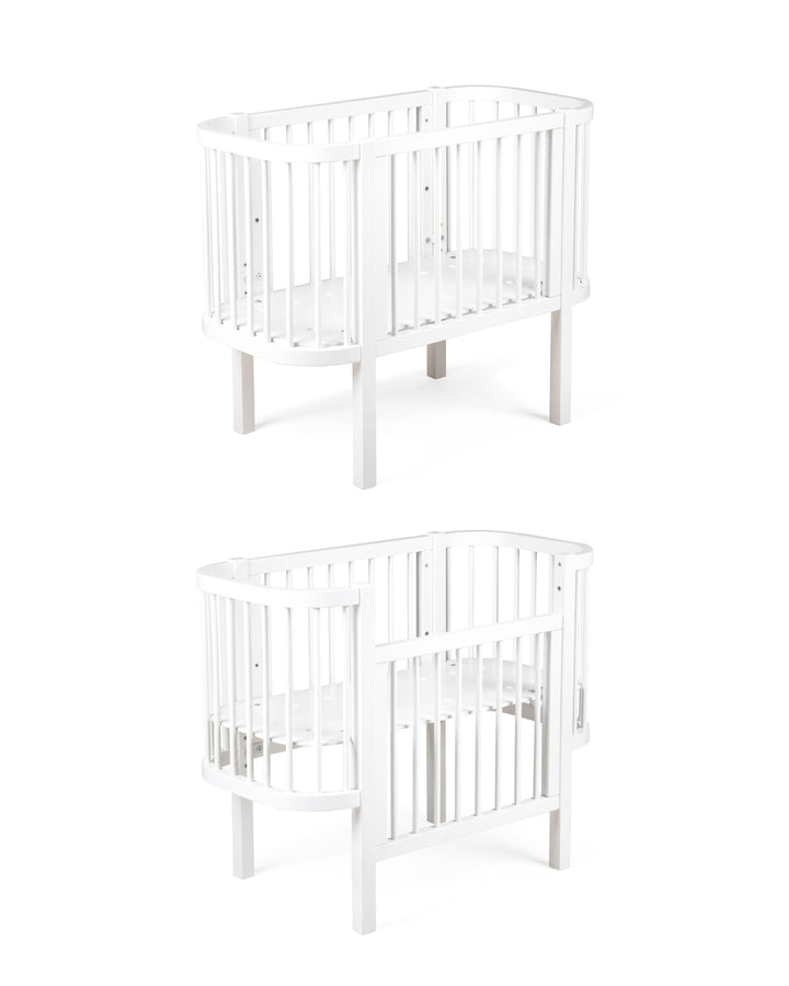 Sebra hjá-song, White