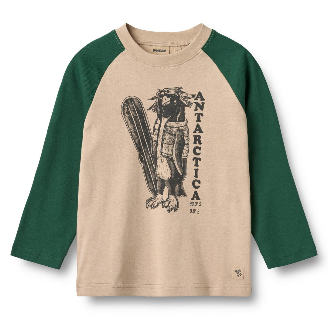 Rolf blusa, Kale