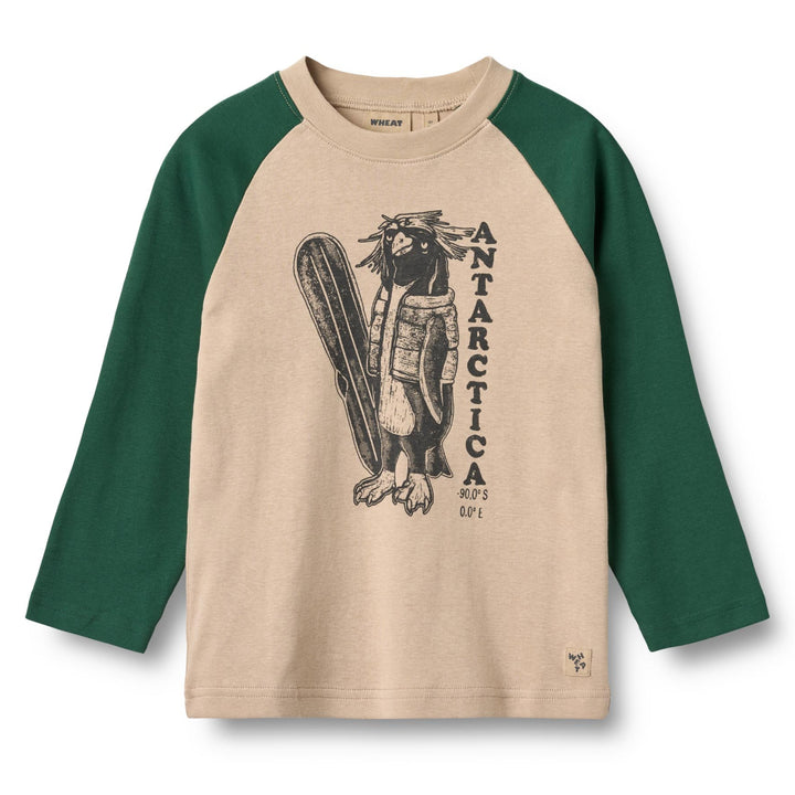Rolf blusa, Kale