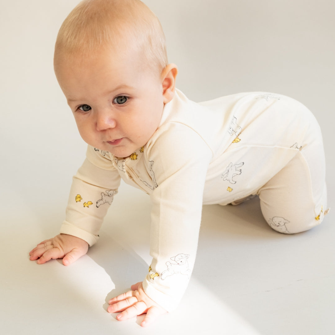 Elliotte drakt, Tiny Friends