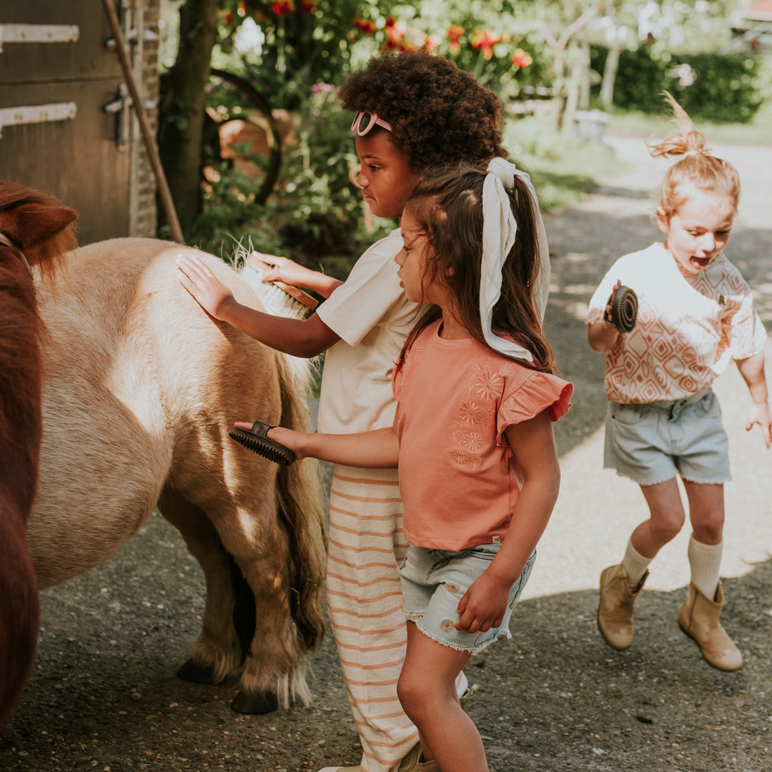 Loose Fit blusa, Blushed Terra