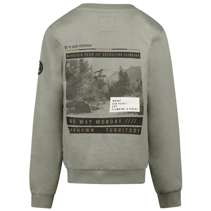 Sweatshirt, Faded Green