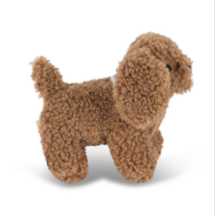 Activity Puppy