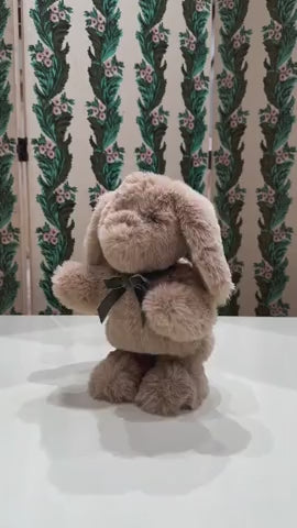 Dancing & Talking Bunny