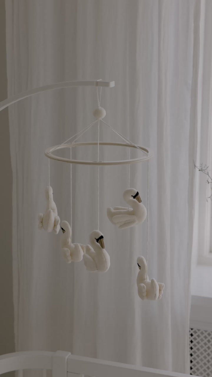 Órógv, Swans